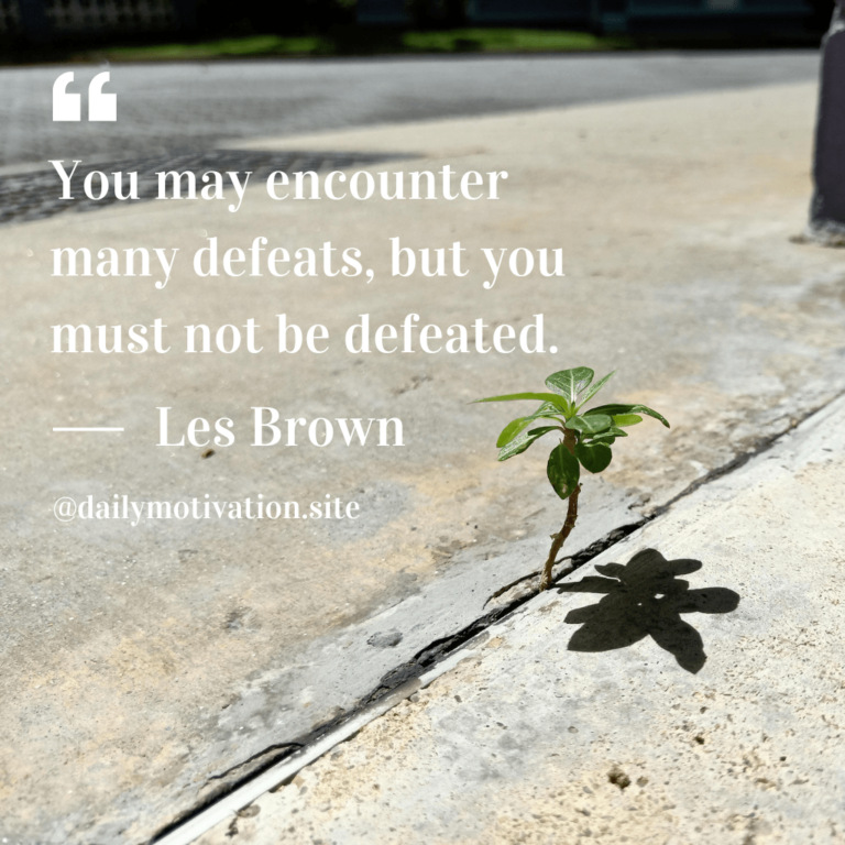 Plant grows in concrete.