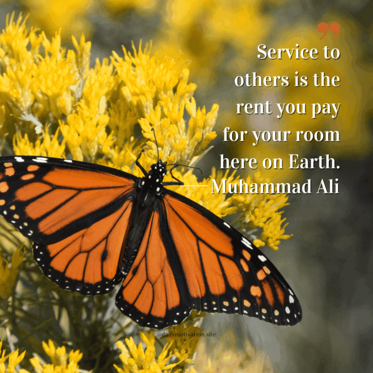A Monarch butterfly sits on yellow flowers.