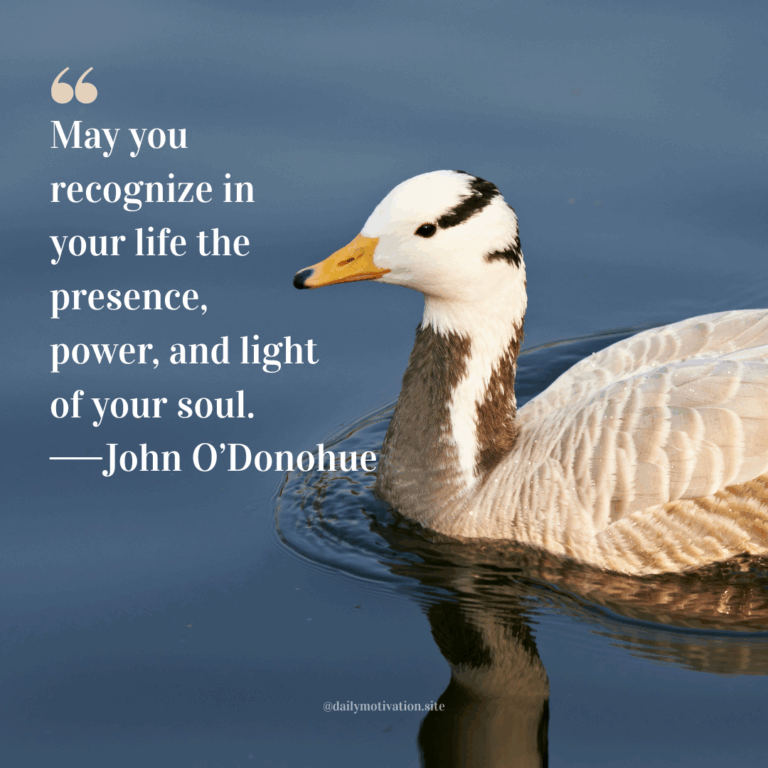 White and gray duck with yellow beak swimming in calm blue water.
