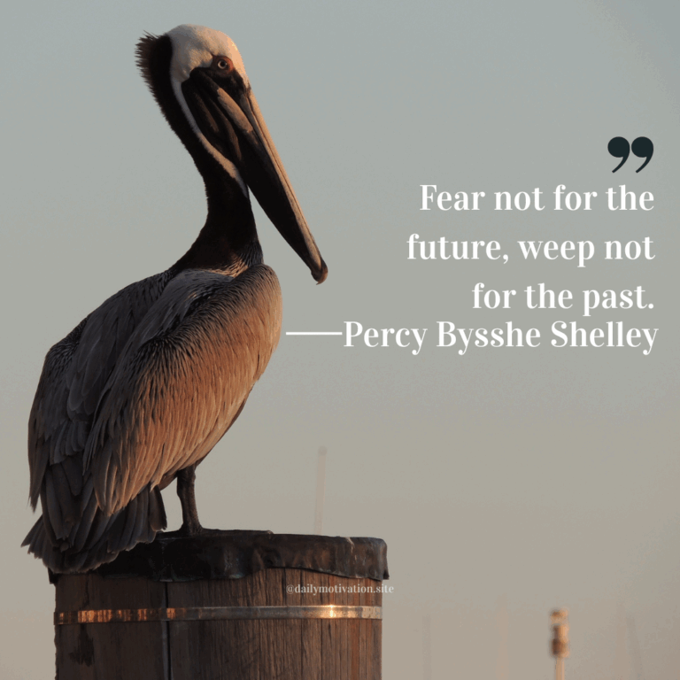 Brown pelican perched on a wooden post against a soft blue sky.