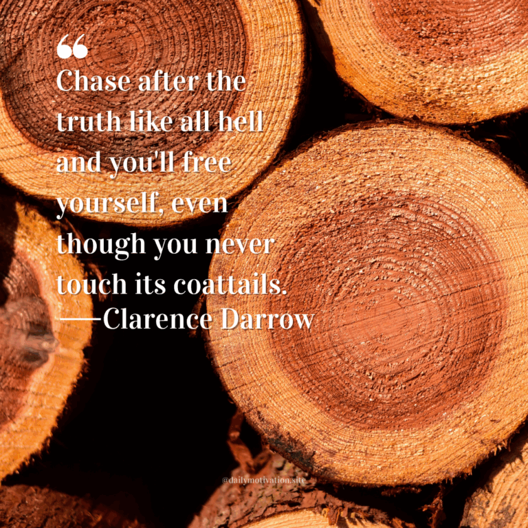 Close-up of stacked tree logs with visible rings and warm orange-light highlighting the wood texture.