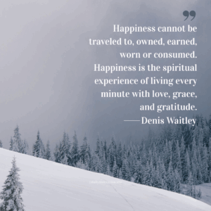 Snow-covered hill leading into a forest of frost-covered trees under a gray winter sky.