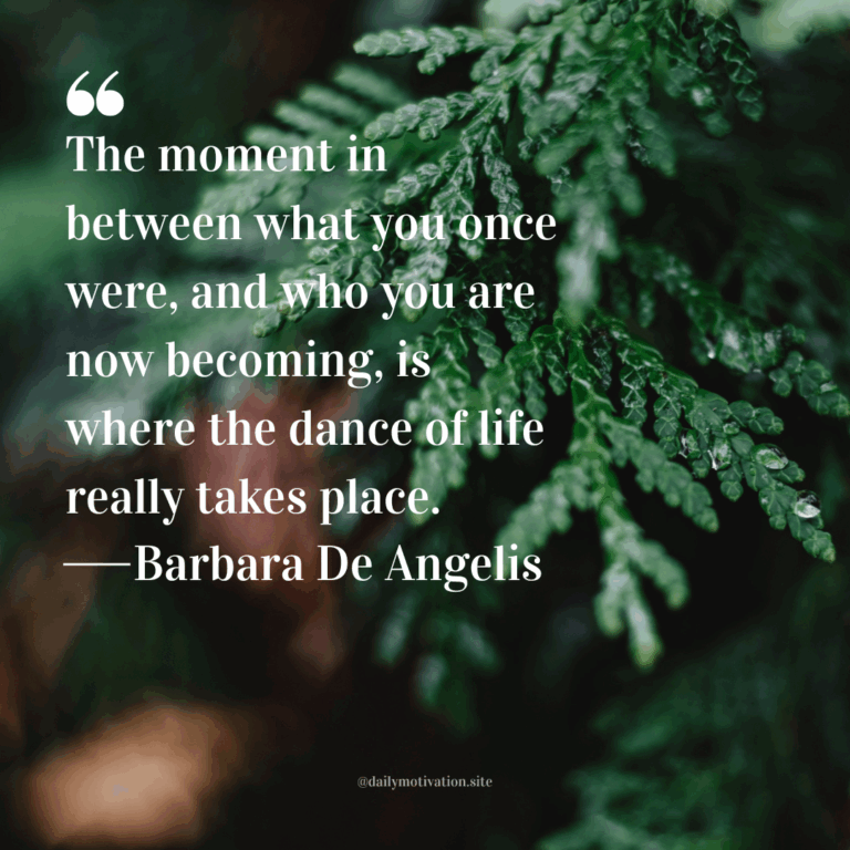 Close-up of a green fern branch with soft blurred forest greenery in the background.