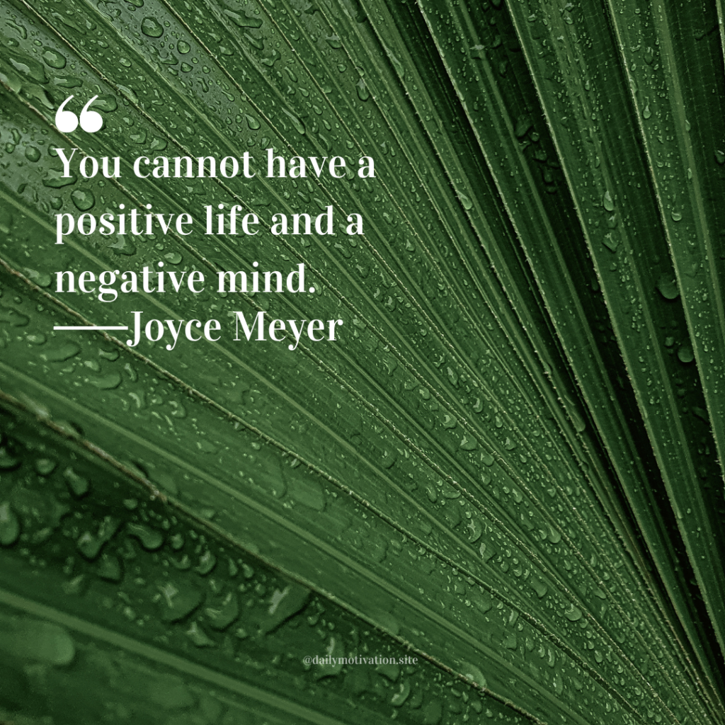 Close-up of a green leaf covered in water droplets with visible natural texture.