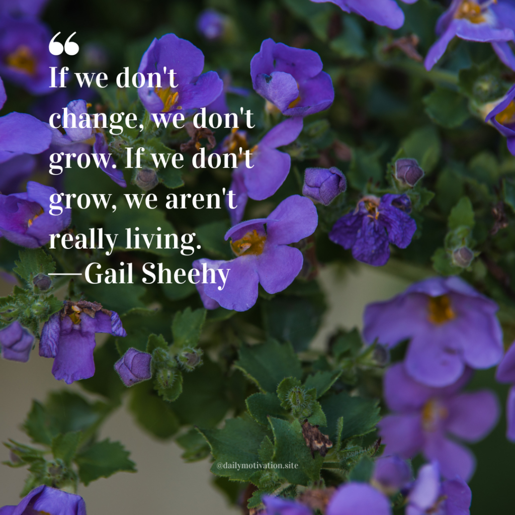 Cluster of small purple flowers with green leaves in soft natural light.
