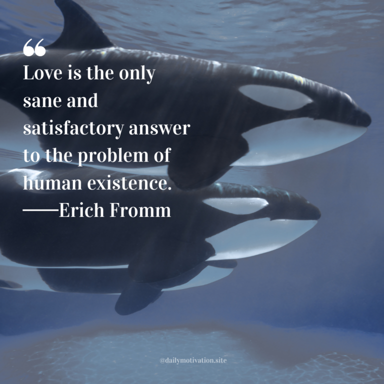 Two orcas swimming underwater in blue ocean light with gentle ripples above.