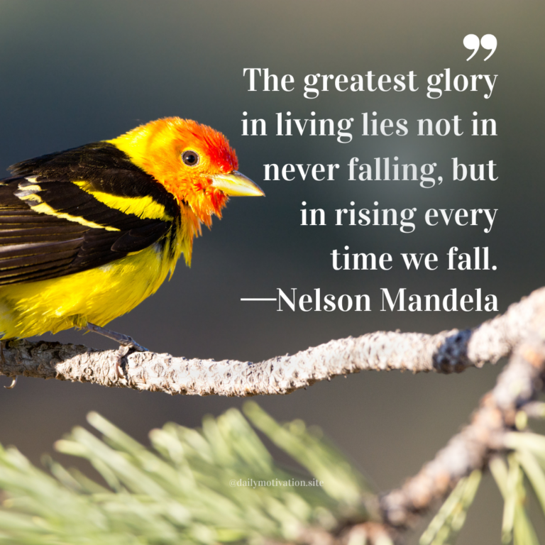 Bright yellow and red bird perched on a thin branch against a soft green background.