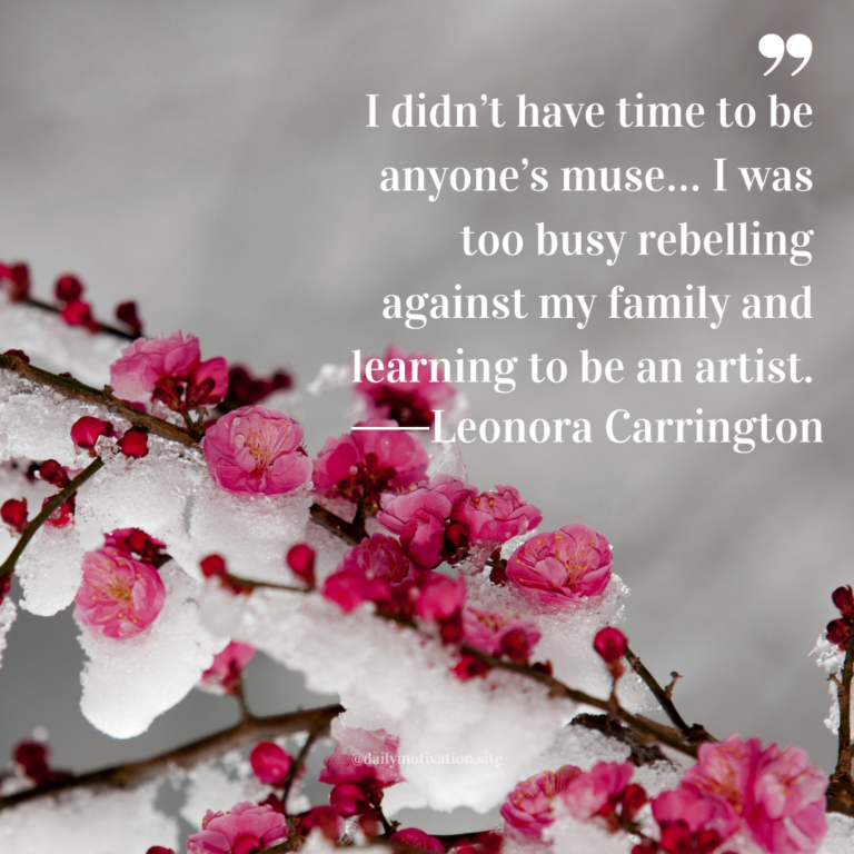 Pink blossoms frozen in snow along dark branches against a soft gray winter sky.