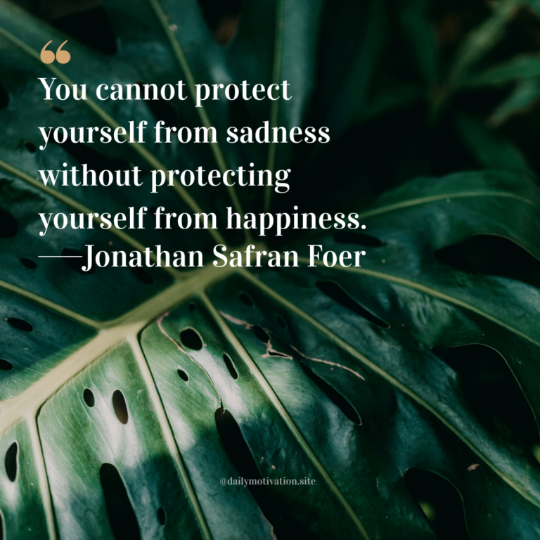 Close-up of a large green monstera leaf with deep texture and natural light highlighting its veins.