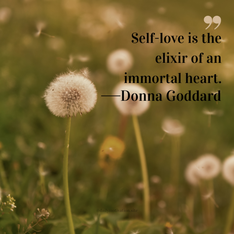 Soft-focus dandelions in a green field with floating seeds and warm sunlight.